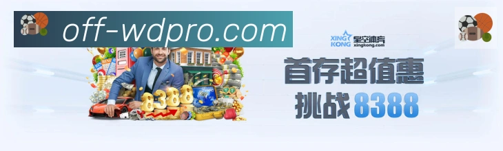 未来规划